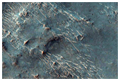 Possible Olivine Exposures at Edge of Fluidized Ejecta