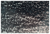 Sustained Bright Patches at Margins of North Polar Layered Terrain