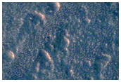Candidate New Impact Site Formed between January 2008 and April 2010