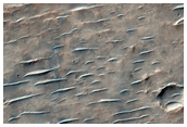 Rocky Flow Lobe From Impact Crater in Tyrrhena Terra