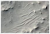 Central Structure in Impact Crater