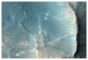 Raised Polygonal Ridges and Light-Toned Material in Syrtis Region