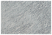 Zunil Crater Secondary Craters