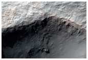 Light-Toned Material and Ridges on Crater Floor