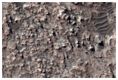 Jointed Layered Deposits in Tyrrhena Terra