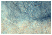 Northern Plains