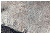 Candidate New Impact Site Formed between January 2010 and February 2010