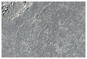 Crater on Very Young Lavas in Western Elysium Planitia