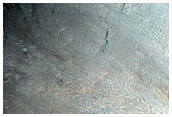 Well-Preserved Oblique Impact Crater in Acidalia Planitia