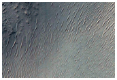 Intact Stratigraphy in Crater Central Peak in Thaumasia Planum
