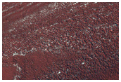 Exposure of North Polar Layers