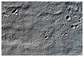 Fresh-Looking Gullies
