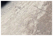 Flow Into Breached Crater in Central Elysium Planitia