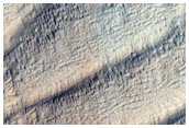 Ridges in Olympus Mons Aureole
