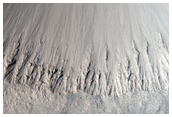 Telz Crater Flat Floor as Seen in CTX Image