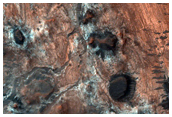 Clay Diversity on Mawrth Vallis Flank
