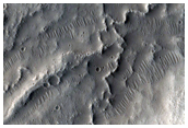 Young Esker-Like Ridges in Tempe Terra