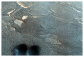 Steep North-Polar Boundary Scarp Mass Wasting