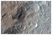 Western Elysium Mons