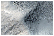 Central Uplift of a Large Impact Crater