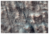 Light-Toned Patterned Ground