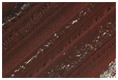 Exposure of North Polar Layered Deposits