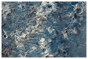 Phyllosilicate Bearing Dark Deposit in Crater on Margaritifer Terra