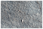Nilosyrtis Mensae Fretted Terrain
