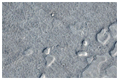 Relatively Fresh Lava Flow in Elysium Planitia