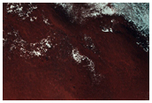 Persistent Northern Plains Ice Deposit in Louth Crater