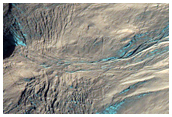 Gullies in Crater in Terra Sirenum