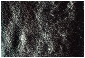 Persistent Northern Plains Ice Deposit in Louth Crater