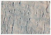 Pitted and Scallop Terrain