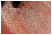 Contact of North Polar Layered Deposit Surface with Floor of Chasma Boreale
