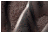 Defrosting Dune Transition and Elongated Barchans