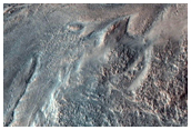 Gullied Crater Wall