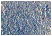Fresh Impact Formed between October 2008 and January 2010