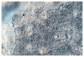 Mounds with Flows in Acidalia Planitia