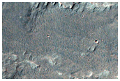 Possible MSL Rover Landing Site Holden Crater