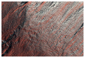 Gullied Crater Wall