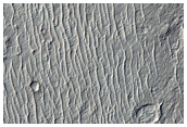 Sinuous Ridges in Zephyria Planum
