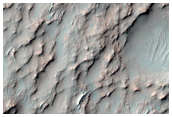 Possible Phyllosilicate-Rich Terrain