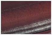 Exposure of Polar Layered Deposits