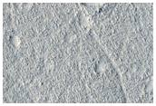 Arcadia Planitia Domes