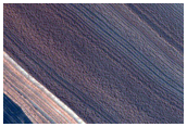 Steep North-Polar Boundary Scarp
