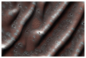 USGS Dune Database Entry Number 2050-617