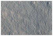 Candidate New Impact Site Formed between September 2008 and August 2010
