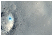 Recent Impact Crater in the Phlegra Dorsa and Tartarus Montes Regions