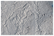 Zunil Crater Secondary Craters