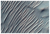 Central Structure of a Highly Oblique Impact Crater